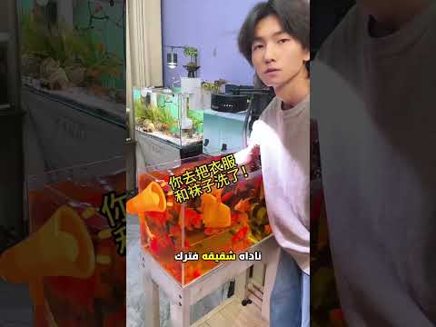 سقط المنديل بالخطأ.. والنتيجة صدمته! 😳🐠 thumbnail