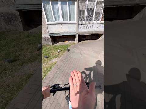 А ВЫ ЗНАЛИ ? Как объехать дом #shorts thumbnail