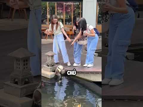 Thử thách 3 cô gái chăm sóc rái cá #phatsekiyeager thumbnail