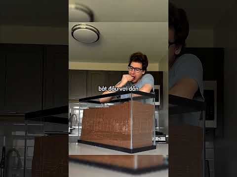 Anh ấy đã dành 16 tiếng để ăn socola… nhưng cái kết lại rất buồn ? #shortsvideo thumbnail