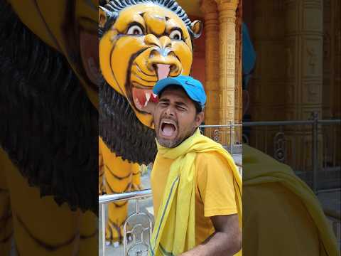 शेर से मजाक पड़ा भारी ??? #shorts #funny #comedy #twist #lion thumbnail