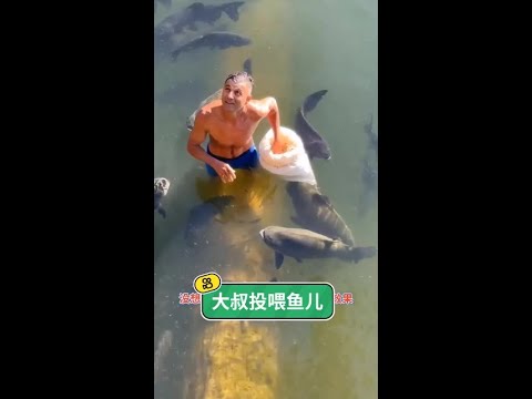 跨越國界的溫暖：國外大叔從孤獨釣魚到愛心投餵，用善意守護生命中的每一份陪伴。 thumbnail