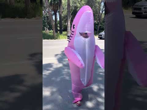 Shark saved girl's life ?❤️ thumbnail