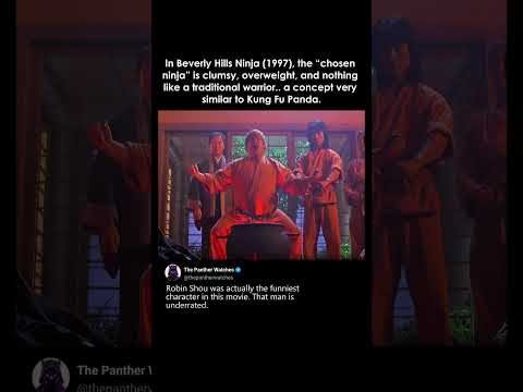 Kung Fu Panda Fans Would Probably Love Beverly Hills Ninja thumbnail