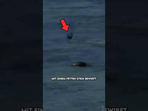 Der Beweis dafür das Karma existiert thumbnail