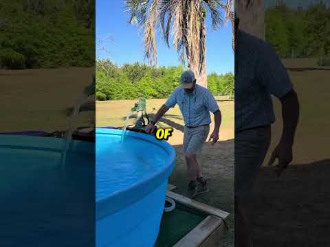 DIY Poly Tank Pool ? @dr.quick3 thumbnail