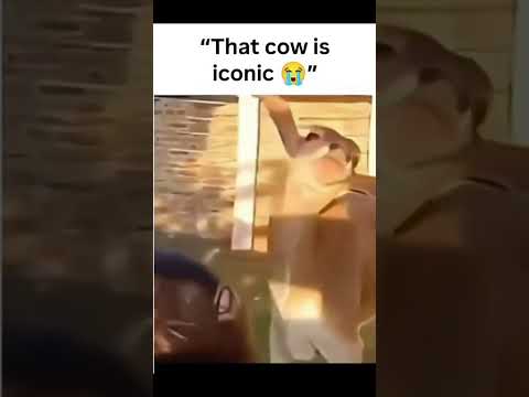 "That cow is iconic ?❤️‍? thumbnail