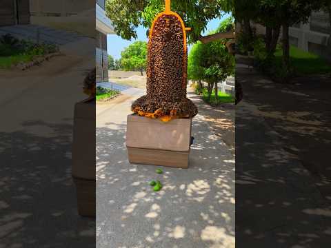 Allah dehk rha ha #viral #prayer #emotional #shortvideo #shorts thumbnail