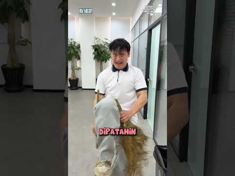 Pura-Pura Keseleo Biar Aman, Eh Malah Satu Kelas Ikut di hukum thumbnail