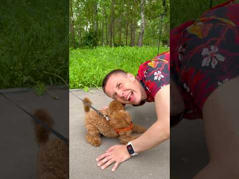 Dog friendly 😄😄 thumbnail