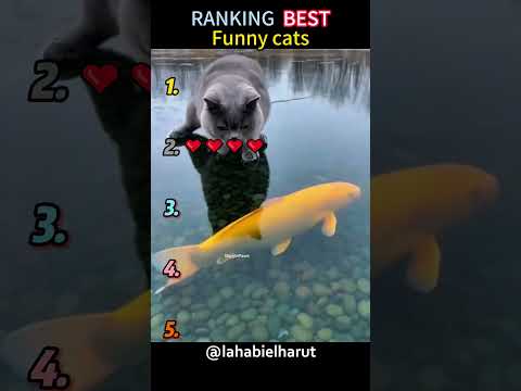 #pov #tools #foryoupage #fyp #fypシ゚viral #fypツ thumbnail