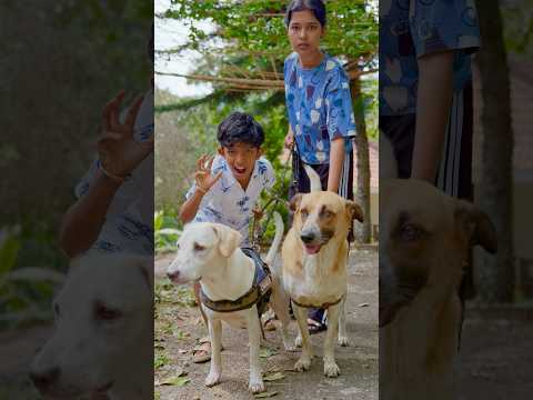 Tom ?Jerry(Rithvi&Kavi)Real End Twist?? #shorts thumbnail