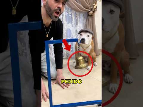 ENSINOU A PEDIR COMIDA ? thumbnail