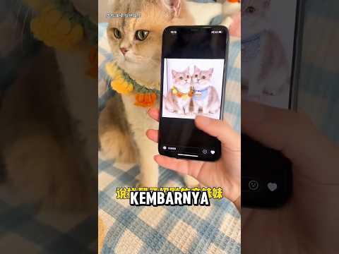 Emon punya saudara kembar ? thumbnail