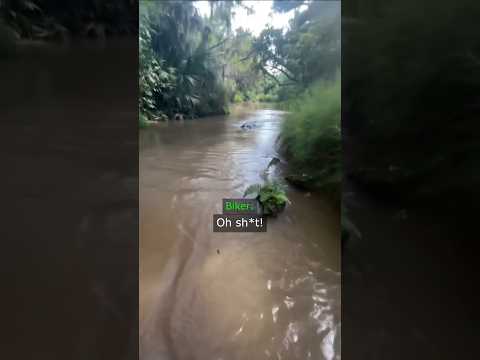Biker’s River Ride Went Wrong… thumbnail