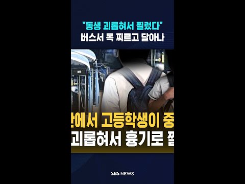 "동생 괴롭혀서 찔렀다"..버스에서 '목' 찌르고 #shorts thumbnail