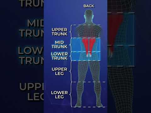 The Truth About "Core Strength" thumbnail