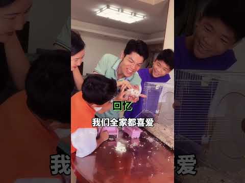 老爸居然想把小猫丢掉，儿子都拦不住，怎么回事呢？#宝贝在干嘛 #宝贝在干嘛改编 #家庭搞笑 #不扫兴的爸爸妈妈 #温馨的家庭时刻 thumbnail