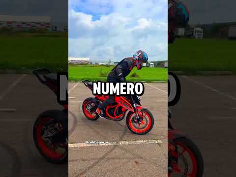 Los Bikers Comparten la Misma Neurona thumbnail