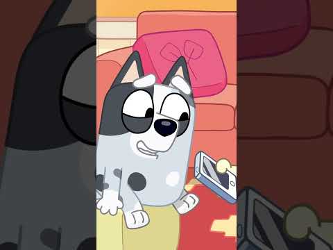 Muffin tries to record a song for Grandad! 💙🎵 | Bluey Minisodes Humpty Dumpty | Disney Jr. thumbnail