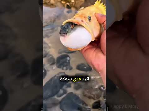 يذهب للشاطئ بطريقة غريبة 😳 #shorts thumbnail