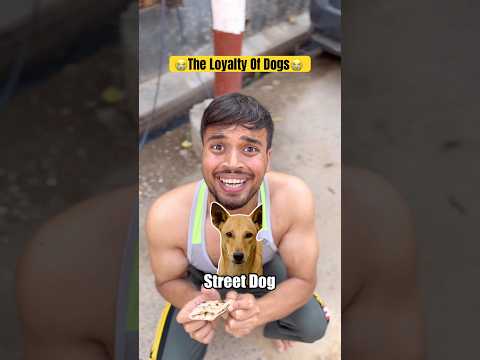 The loyalty of dogs?? #shorts #trending #dog #dogs thumbnail