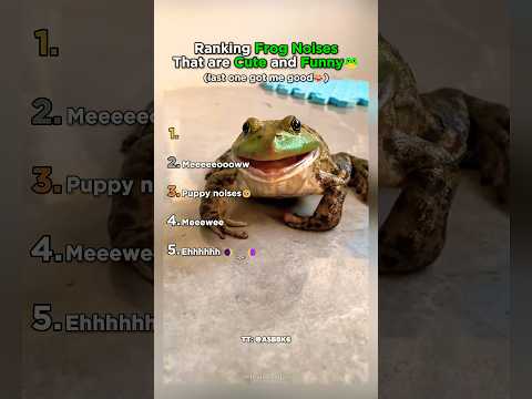Ranking Frog Noises That are Cute and Funny thumbnail