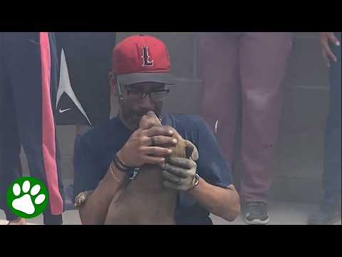 Man Has Emotional Reunion With Dog Rescued From Burned Down Home thumbnail
