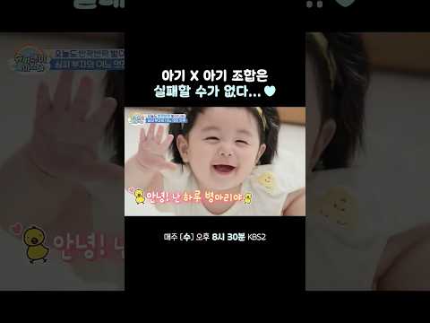 진짜 병아리 만난 하루 병아리♥︎ #슈퍼맨이돌아왔다 #KBS thumbnail