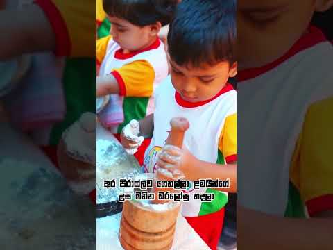 මම පෙර පාසල් දාහක් හැදුවා... #dpeducation #preschool #dhammikaperera #educationforall thumbnail