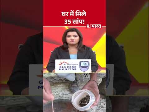 घर में मिले 35 सांप! | Mirzapur | Uttar Pradesh | Snake Rescue | Latest news thumbnail