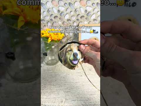 You won’t believe the last one ?? #dogs #dogloss #dogsoftiktok #pets #giftsideas thumbnail