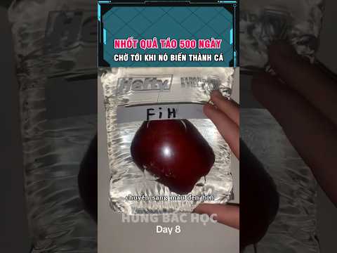 hàng triệu người ngóng chờ quả táo biến thành cá thumbnail