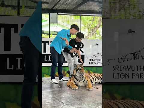 คนต่อไปเป็นพี่ไนท์ thumbnail