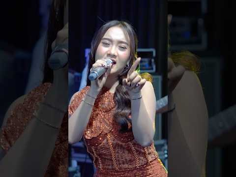 Jangan pergi lagi yaaa #setialahpadaku #divahani #dangdut #versidangdut #hotdangdut #dangdutkoplo thumbnail