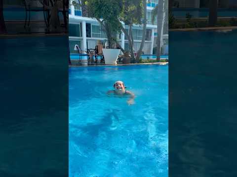 Laura hoppar i utan simväst 😱 #thailand #shorts thumbnail