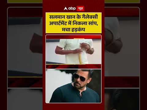 Viral Video : Salman Khan के गैलेक्सी अपार्टमेंट में निकला सांप, मचा हड़कंप |  #ytshorts | #snacks thumbnail