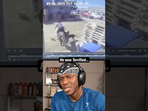 He Was Terrified ? thumbnail