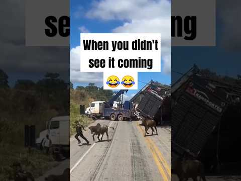 "Funniest Fails 😂 | Try Not to Laugh!" #shorts #funnyfails #humor thumbnail
