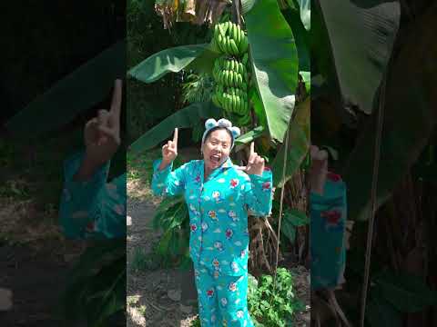 Ini namanya buah apa ya #adekkakakinul thumbnail