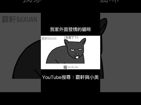 我家外面發情的貓咪｜霸軒與小美 Baxuan & Mei thumbnail