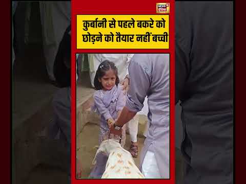Bakrid Video | कुर्बानी से पहले बकरे को छोड़ने को तैयार नहीं बच्ची #viralvideo #viralnews #shorts thumbnail