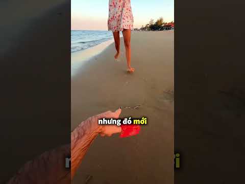 Tại sao bạn nên đi cẩn thận khi chân trần trên bãi biển 🤯 thumbnail