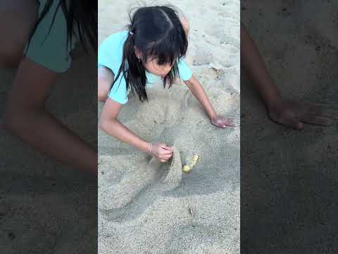 SH - Tìm gấu bông cho Em gái tội nghiệp || Kind sister and Poor little girl #shorts thumbnail