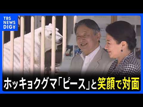 「耳が小さい？」「可愛いですね」天皇皇后両陛下　ホッキョクグマ“ピース”と笑顔で対面　愛媛県で動物園へ｜TBS NEWS DIG thumbnail