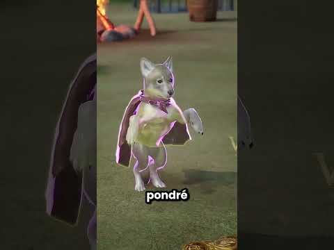 Este Lobo Se Escapó y Salvó A Todos Sus Compañeros 😱🤩 thumbnail