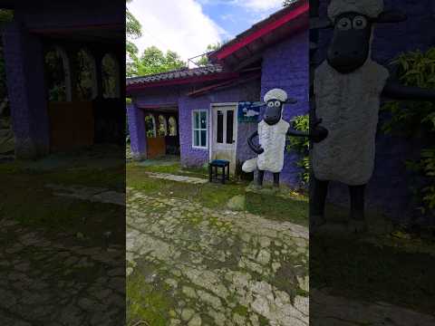 dirumah saun the shep ada fajar gak yah..? thumbnail