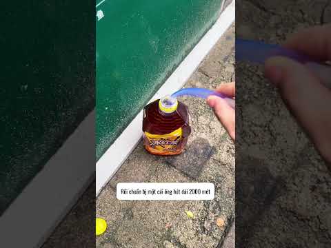 Thấy tôi thông minh không? thumbnail