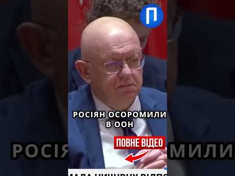 «Москва, шефе, все пропало» : Мельник розніс Росію в ООН, Небензя ховав очі thumbnail