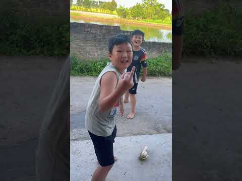 Thằng nào vào đây #shorts #caulongbocondua thumbnail